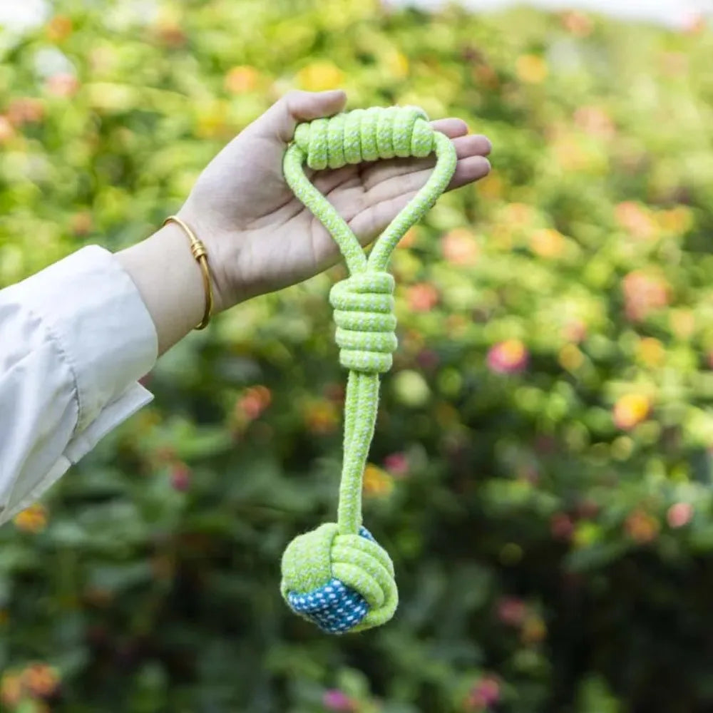 Pet Chew Toy for Dogs