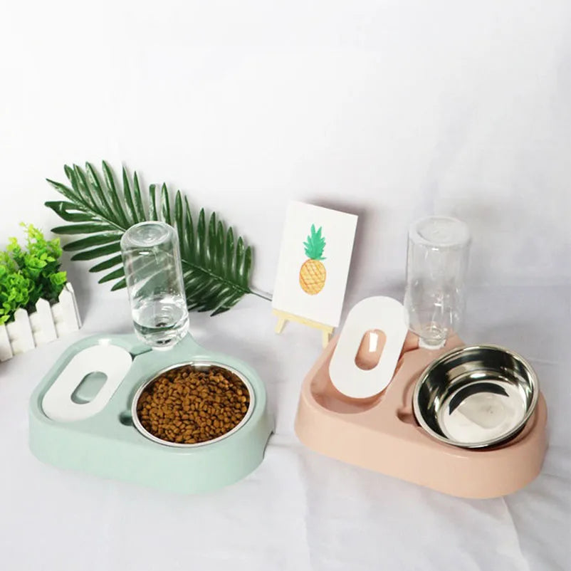 2-in-1 Dog & Cat Feeder Station