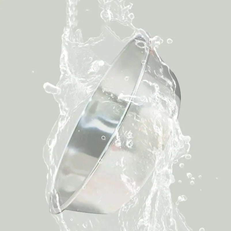 2-in-1 Dog & Cat Feeder Station